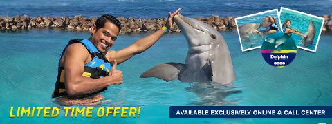 banner_dolphin_encounter_memories