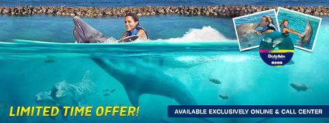 banner_dolphin_swim_adventure_memories