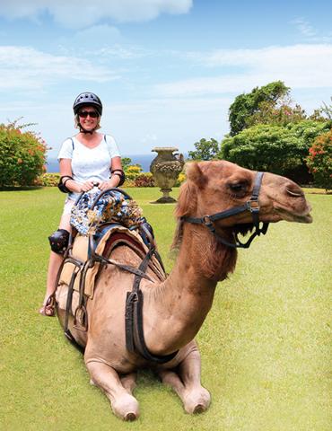 Yaamon Adventure All Inclusive plus Dolphin Encounter (From Montego Bay)