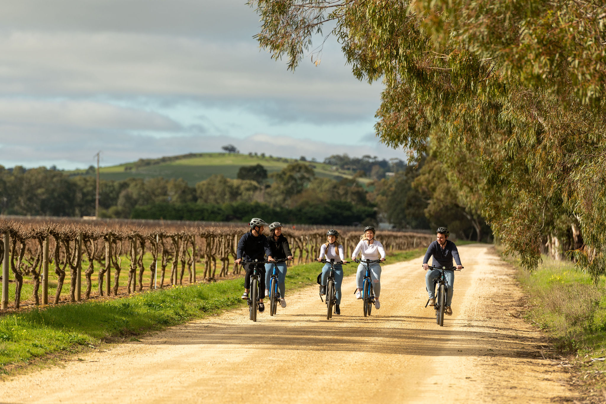 'Experience Barossa' Gourmet Food & Wine E-Bike Tour (Private)