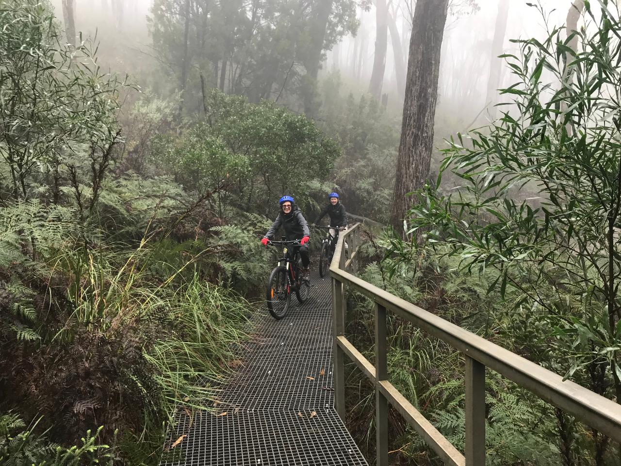 Mt. Lofty Wheels & Wildlife e-mountain bike tour