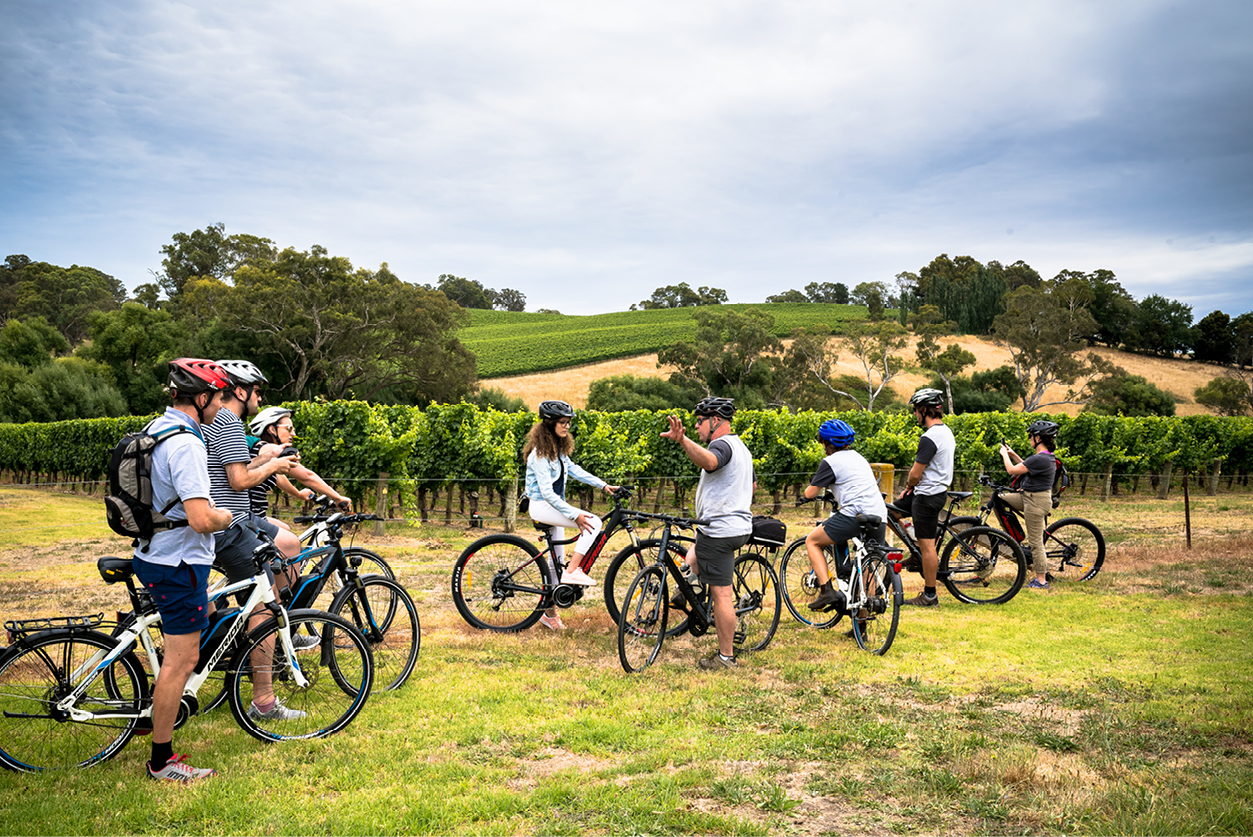 Wheels, Wine & Wildlife