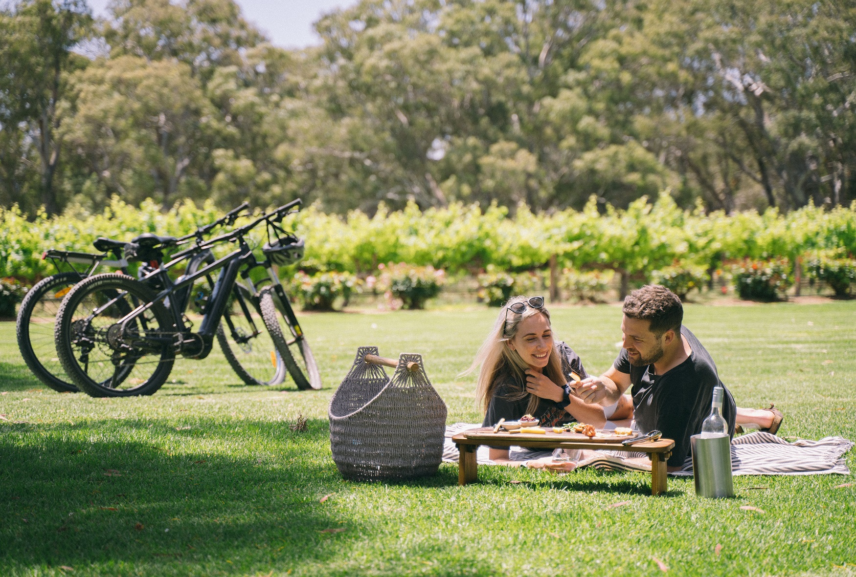 3 Day Grapes for Good - E-Cycling Safari  & Wine Experience