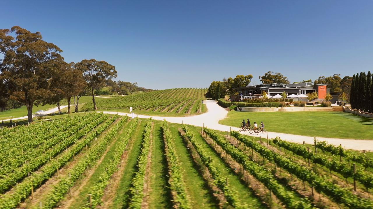 'A Taste of Hahndorf' Gourmet Food & Wine e-Bike Tour (Private)