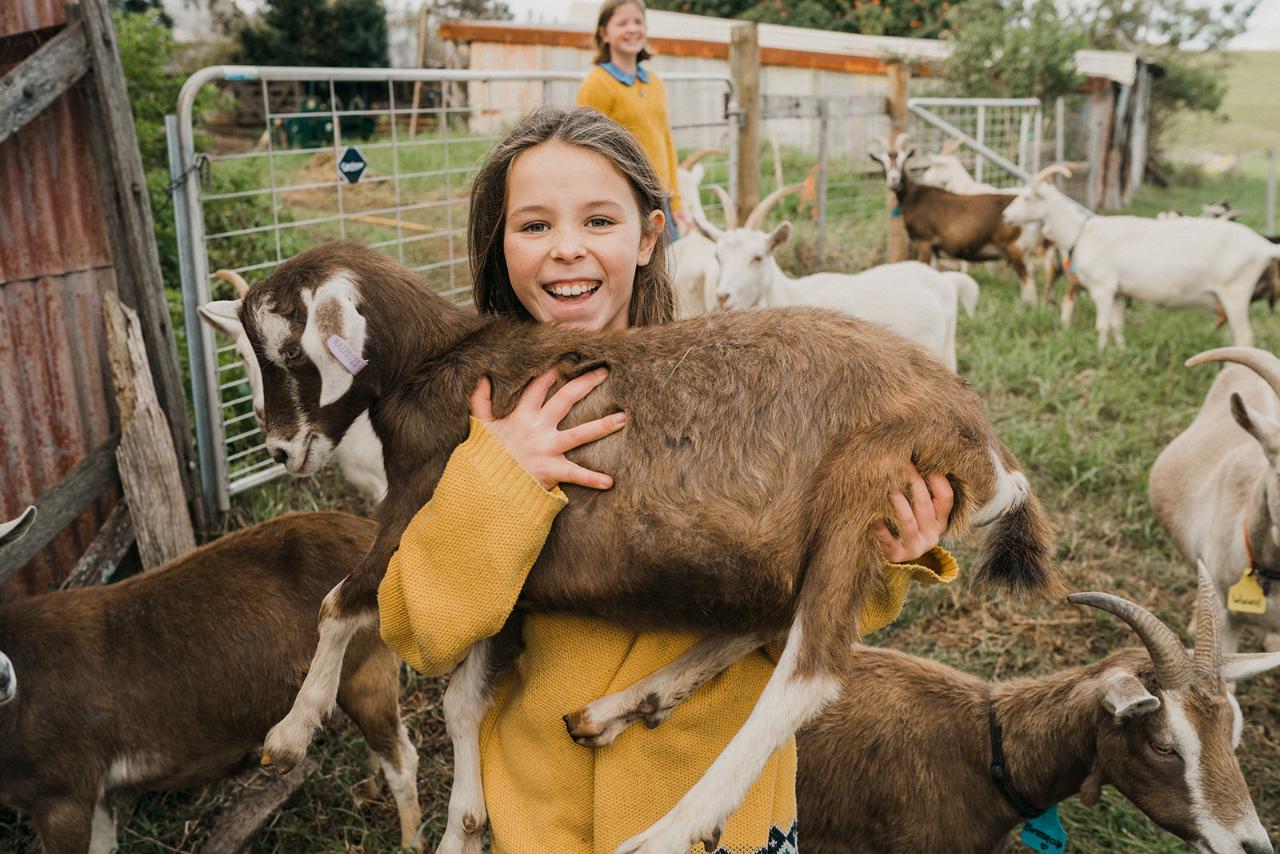 Goat Therapy Farm Tour