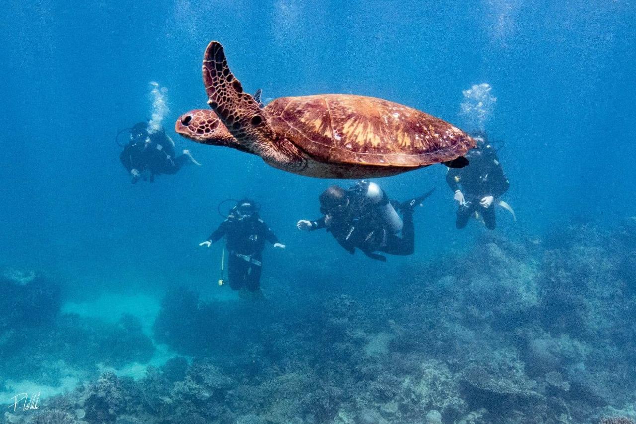 Open Water Course