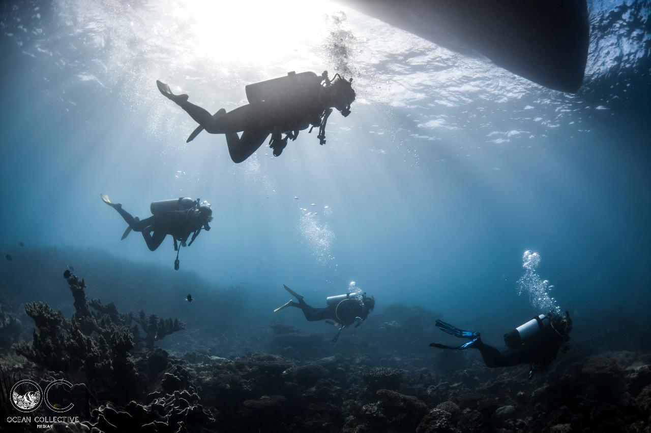 Advanced Open Water Course