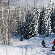 Snowmobile Tour - Wilderness Run