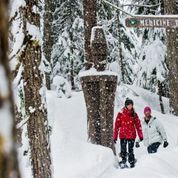 Snowshoe - The Medicine Trail