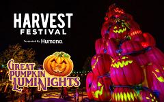 2021 Harvest Festival, Charleston, Gatlinburg & Cherokee 