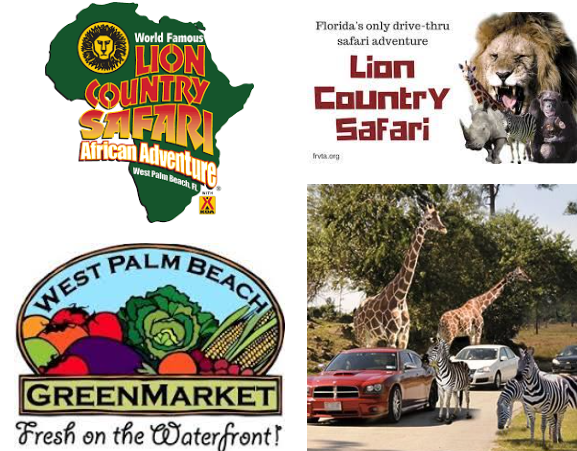 Lion Country Safari, Zoo & West Palm Beach Green Market