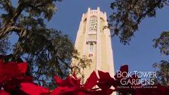 Bok Tower Christmas & Home Tour  