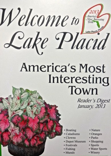 The Caladium Festival