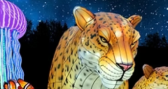 Jax Zoo & Zoo Nights December 21, 2025