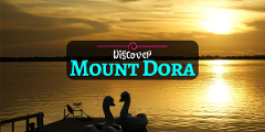 A Day In Mount Dora Boat Tour, Lunch Included at Lakeside Inn & Shopping  