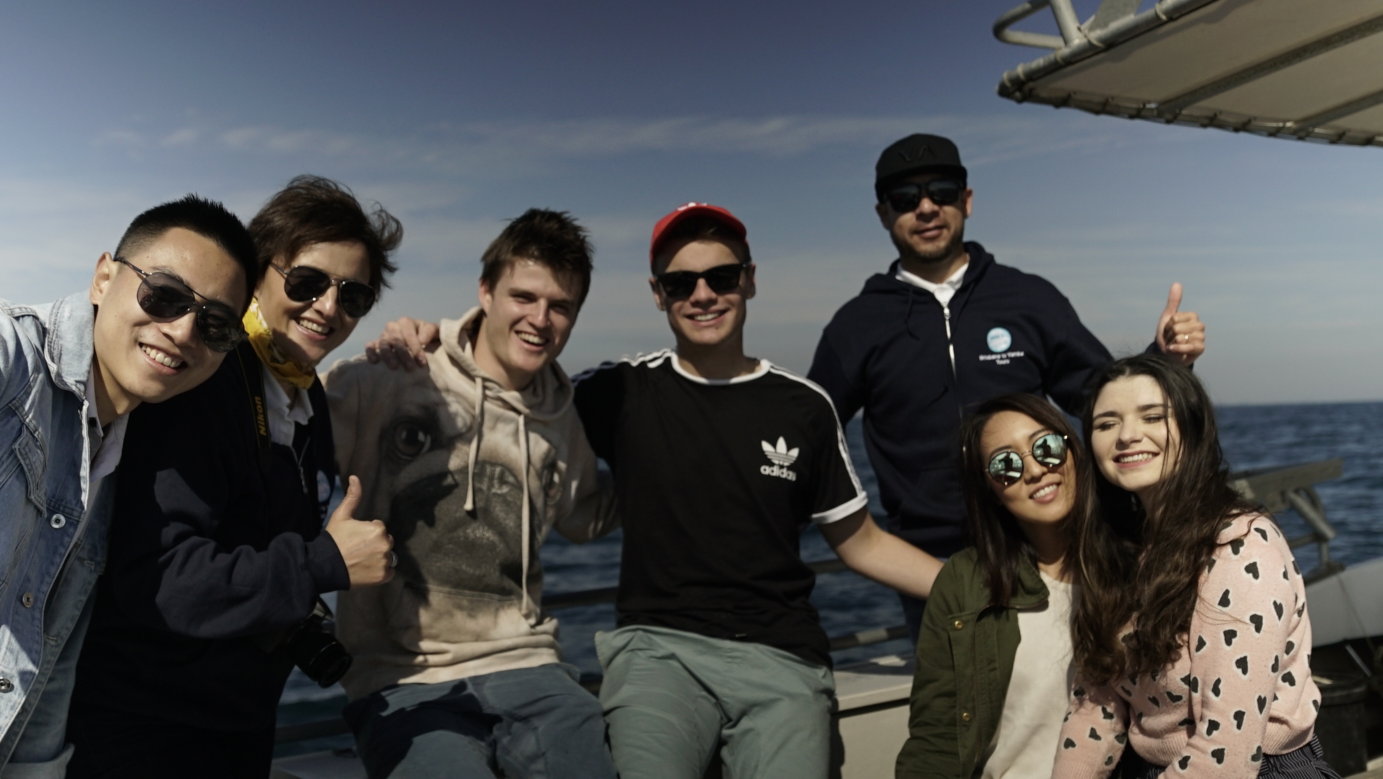 A WHALE OF A WEEKEND-WHALE WATCHING From JUNE TO OCTOBER 2021