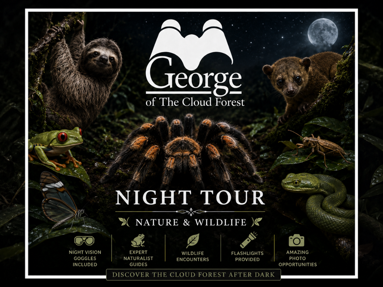 Monteverde Night Tour by George of the Cloud Forest