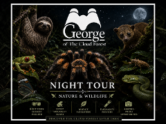 Monteverde Night Tour by George of the Cloud Forest