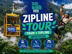 Treetopia Park Sky Tram + Sky Trek (Formerly Sky Adventures)