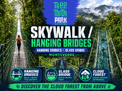 Treetopia Hanging Bridges/Sky Walk + Glass Bridge