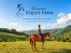 Beautiful sunset horseback riding in Equus Farm Monteverde