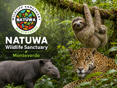 NATUWA MONTEVERDE -Wildlife Sanctuary in Monteverde
