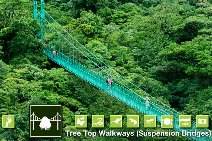 Selvatura treetop walkways