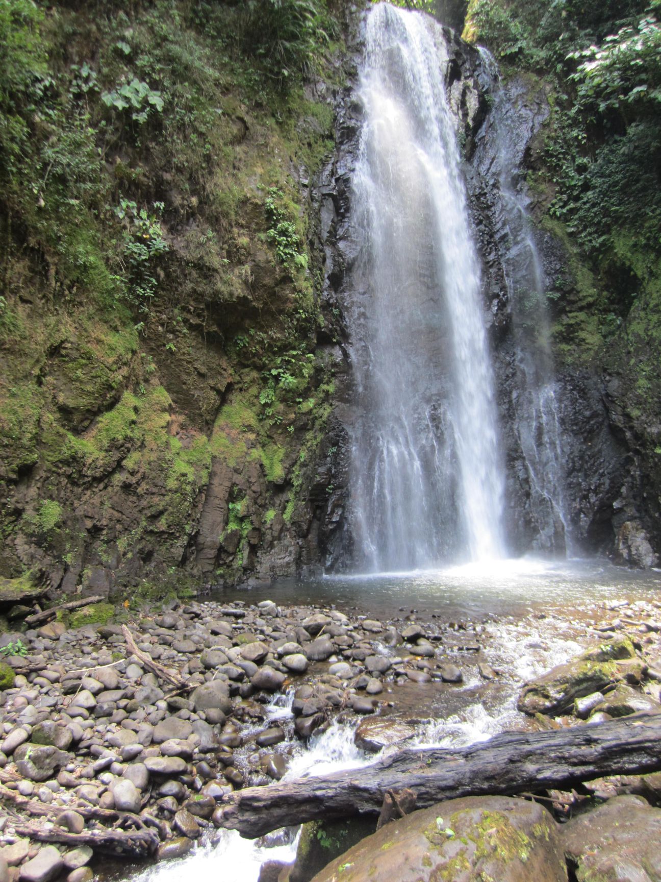 Horse Trek Monteverde-Waterfall Ride & Hike Tour Full Day - Camino ...