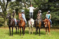 Horse Trek Monteverde-Mountain & Farm View Ride