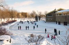 Location patins au Parc La Fontaine (étang glacé)/Skate rental at La Fontaine park (frozen pond)