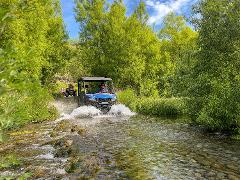 Hanmer Springs Off Road Buggy - 2-seat vehicle