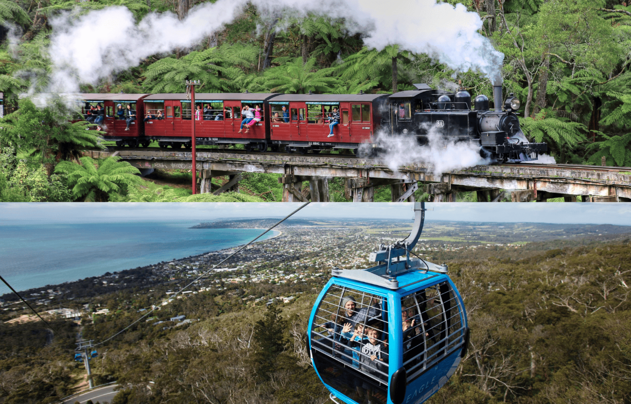Puffing Billy, Mornington Peninsula Gondola & Moonlit Sanctuary Wildlife Tour from Melbourne