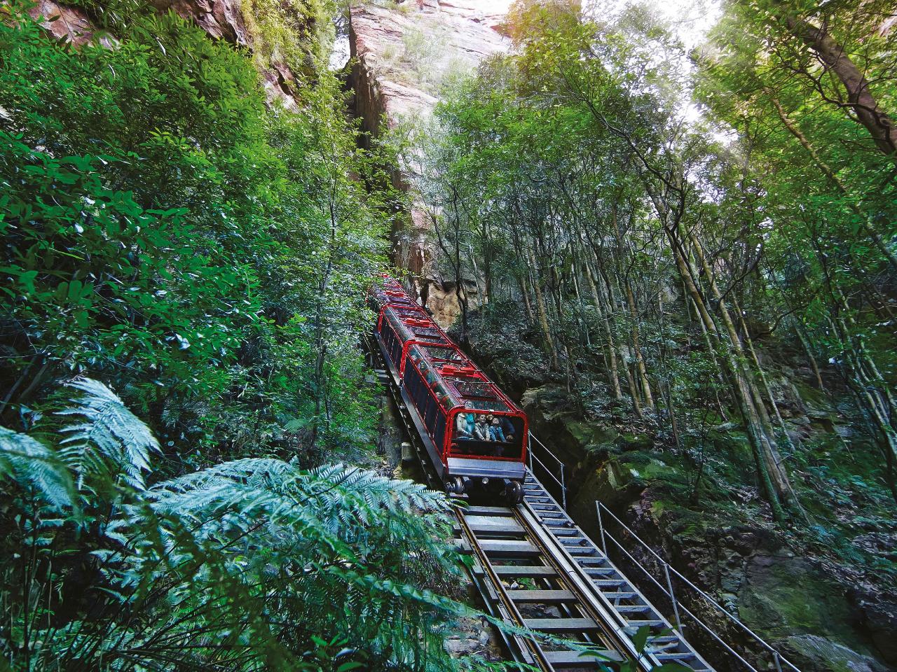 Blue Mountains Adventure Tour inc Scenic World, Harbour Ferry Cruise, Waterfalls and Sydney Zoo with FREE up-close Koala Digital Photo