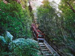 Blue Mountains Adventure Tour inc Scenic World, Harbour Ferry Cruise, Waterfalls and Sydney Zoo with FREE up-close Koala Digital Photo