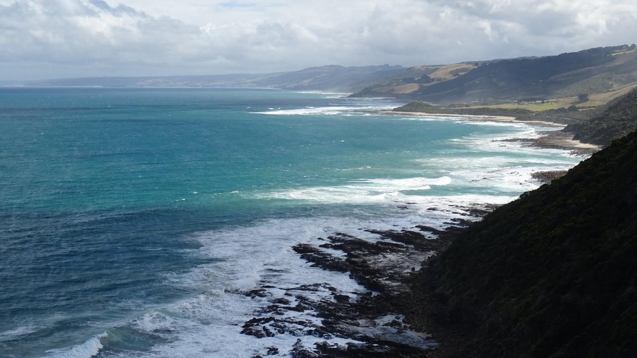 Great Ocean Road Bus Tour Including 12 Apostles, Forest Walk, Koalas ...