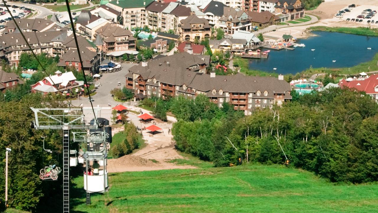 Blue Mountain Private Tour (1-6 People)