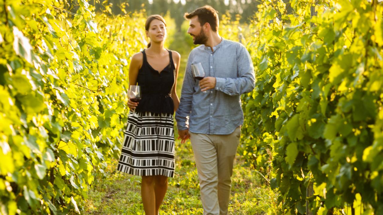 Niagara-On-The-Lake Private Winery Tour From Toronto (Upto 6 People)