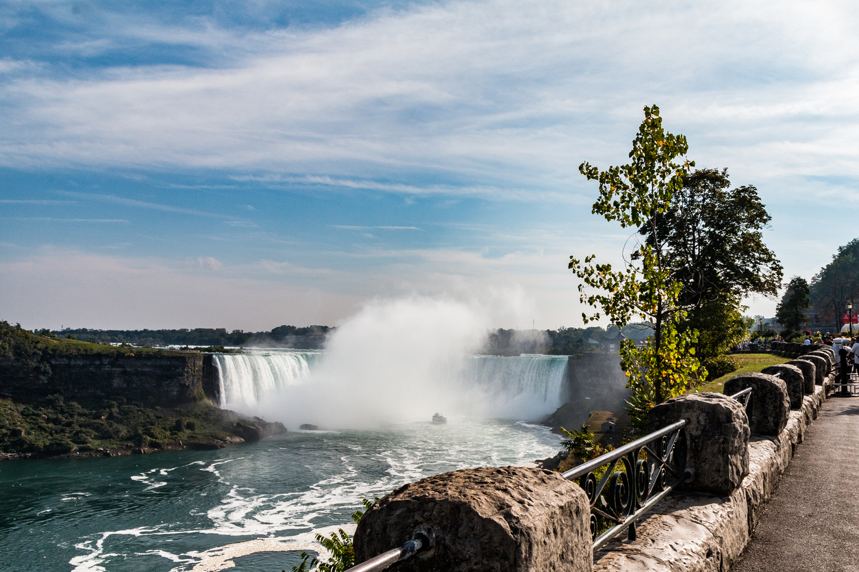 Richmond Hill To Niagara Falls Large Group Private Tour  (upto 34 Passengers)