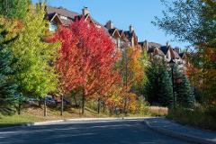 7-hour Private Day Tour From Montreal To Mont Tremblant