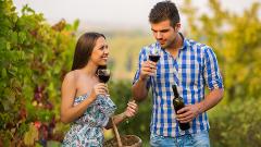 Niagara-On-The-Lake Private Winery Tour From Toronto (Upto 4 People)