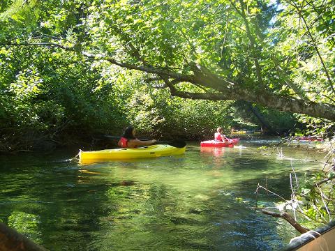 River of Golden Dreams Small Group Guided Trips (NO MORE THAN 4)