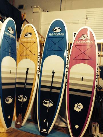 Go Fest Stand Up Paddle Board Rental - Special Event - May 20 and May 21, 2017 only