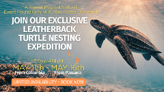 Leatherback Turtle Expedition Panama to Colombia 