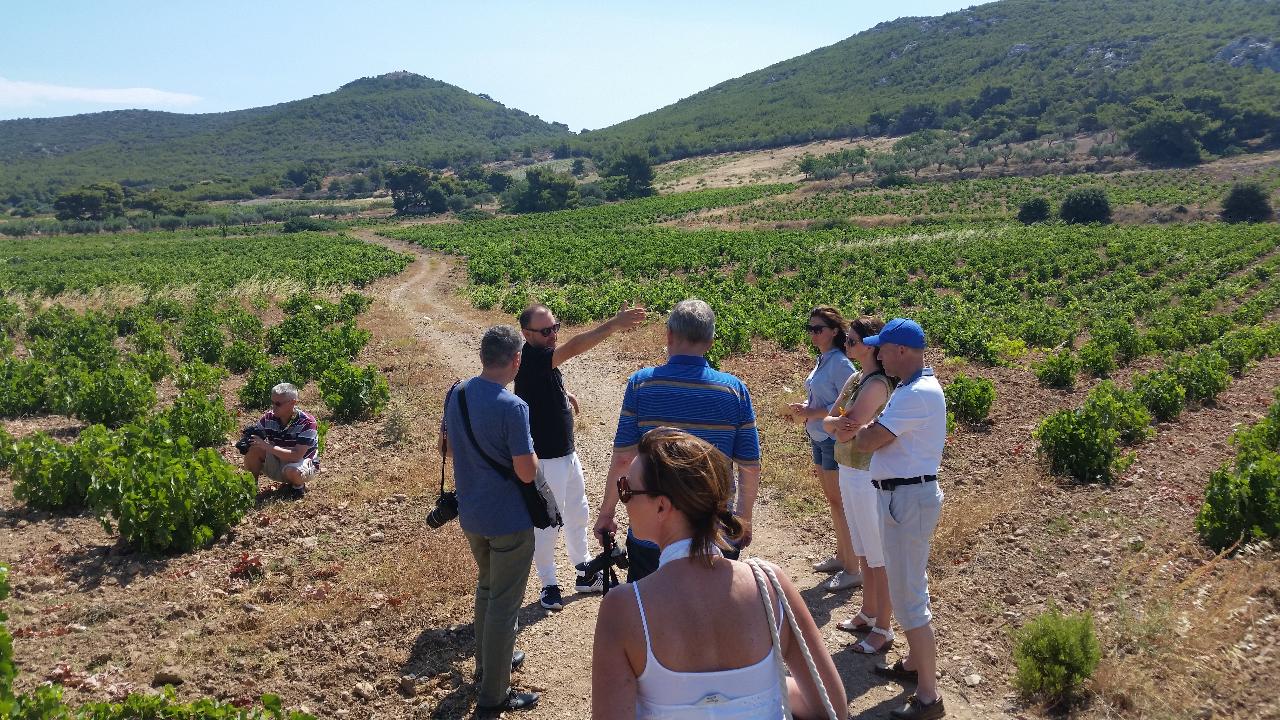 Athens Private Wine Tour and lunch in a seaside tavern
