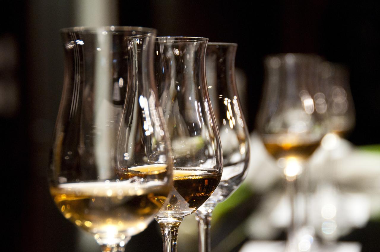 Athens Wine Tasting. Discover 4 awarded local wines of Greece