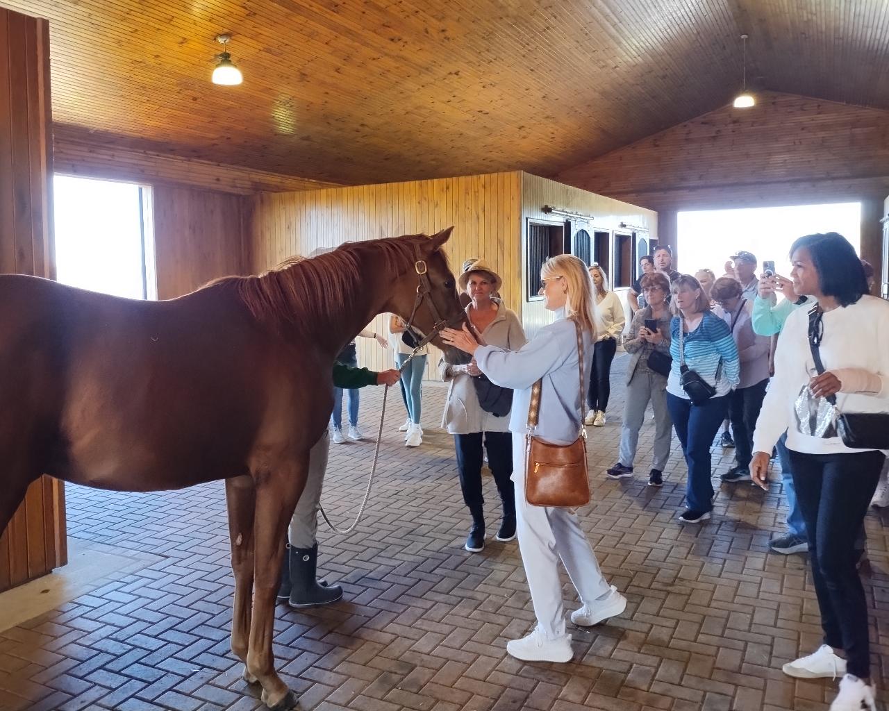  Horse Farm Tours of the Kentucky Bluegrass