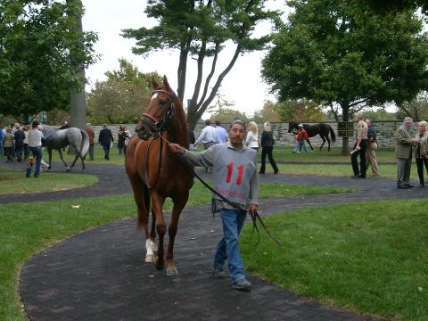 Horse Farm Tours of the Kentucky Bluegrass