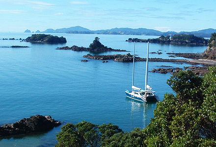 VIP Full Day Sailing in Bay of Islands Private Charter: 54ft Catamaran - Day 4 