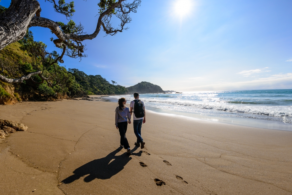 8-Day Taste of NZ Mega Coach Tour