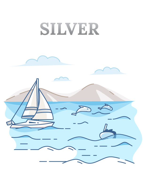 Silver Tour (3-hour dolphin & whale excursion)